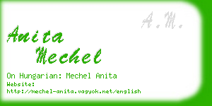 anita mechel business card
